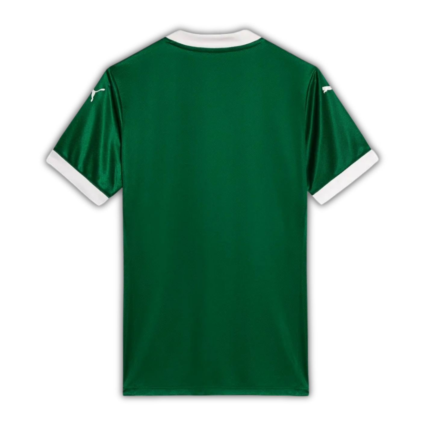 Palmeiras Domicile 25/26