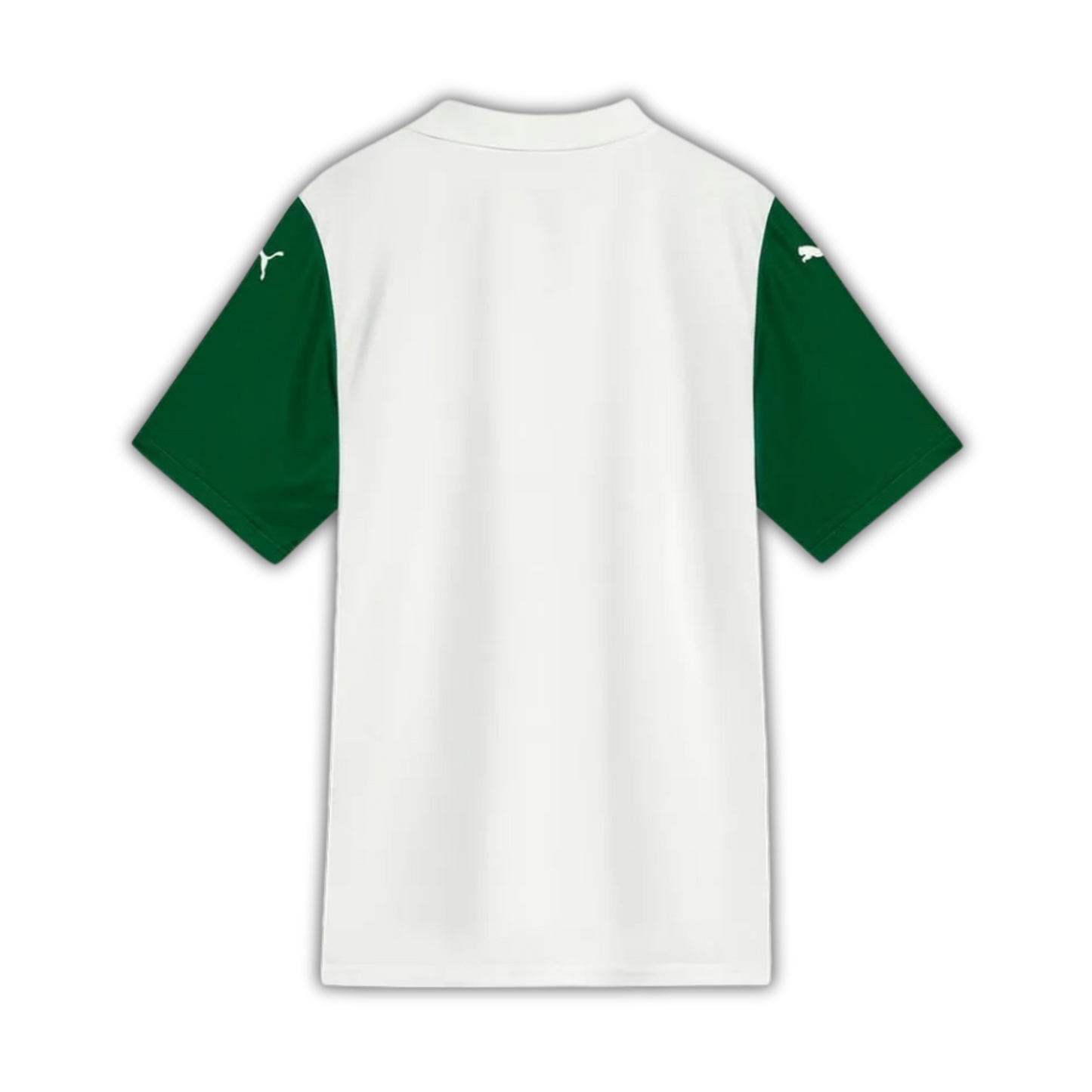 Palmeiras Extérieur 25/26